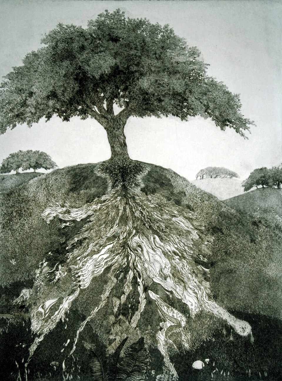 "Mt. Tamalpais," etching and aquatint original print by Michael E. Arth, 19-¾" x 26-⅝" (50 x 67.7 cm) 1981. The license only applies to this low resolution version.