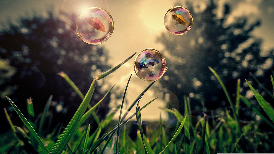 Close-up of green grass seen from the ground, floating bubbles in the air bathed in the sunlight, trees and a yellow sky in the background.